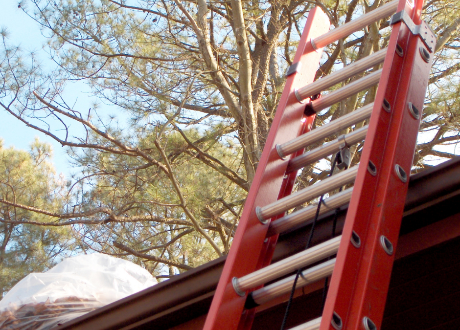 The Importance of Inspecting Your Home Ladder